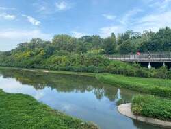 Blk 495F Tampines Street 43 (Tampines), HDB Executive #556971071